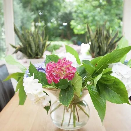 Holiday Bergense Rust Villa Bergen